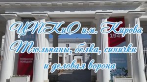 ЦПКиО им. Кирова на Елагином острове. Тюльпаны, белка, синички и деловые вороны. Часть 2