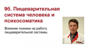 Психосоматика и процесс пищеварения