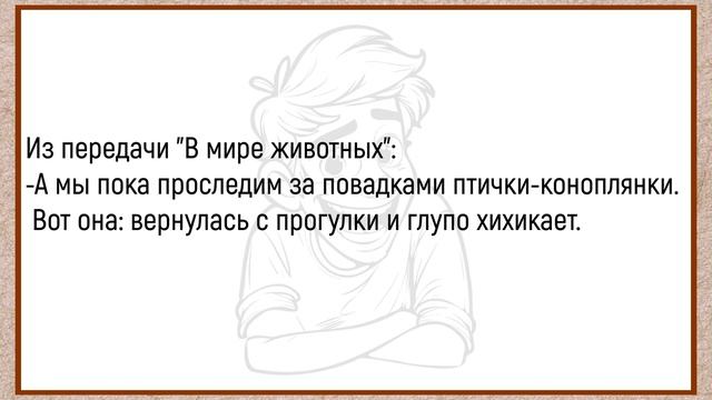 Медведь-судья и Заяц-алкаш: Сборник лучших лесных приколов