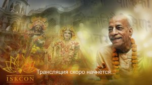 9.05.2026 || Шримад Бхагаватам 11.7.55-56 | Е.М. Мадхурья Кадамбини д.д.