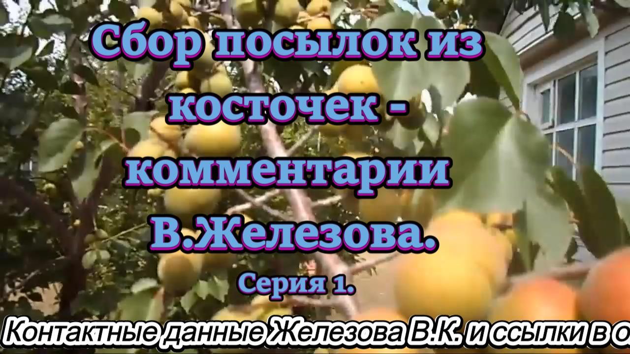 Сбор посылок из косточек - комментарии В.Железова. Серия 1.