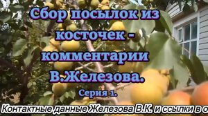 Сбор посылок из косточек - комментарии В.Железова. Серия 1.