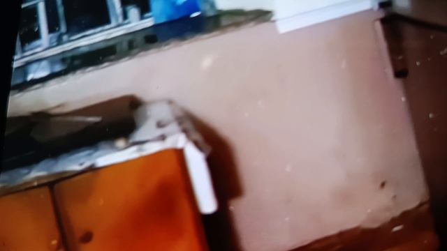 подпишись и смотри смотреть онлайн