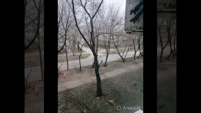 Сторис лайф лайк