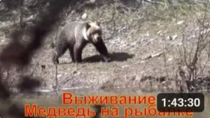 Выживание Медведь на Рыбалке  Сибирь, Тайга, Поход  Охота Лес Таймень Счастливые люди Хариус Ночевка