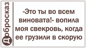 -Это ты во всем виновата!- вопила моя свекровь, когда ее грузили в скорую