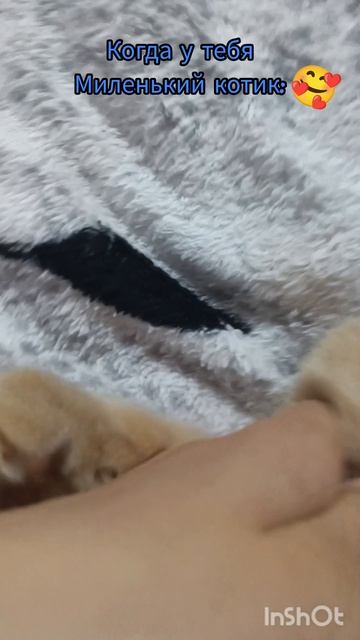 🥰💤