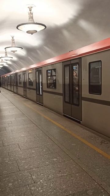 Подросток задержал отправление поезда метро со станции Площадь Восстания