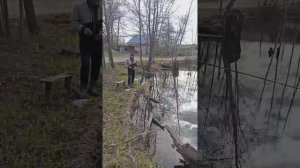 Марина Краюшкина. Были на рыбалке, погуляли с козами 🐐