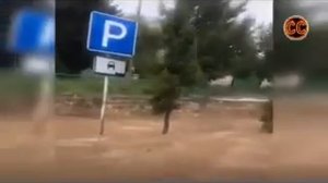 СБЫВАЮТСЯ ПРЕДСКАЗАНИЯ ПРО АЗИАТСКОГО ДРАКОНА