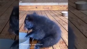 Видео от МЭН - Мне Это Нравится