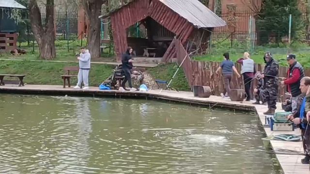 Второе зарыбление.