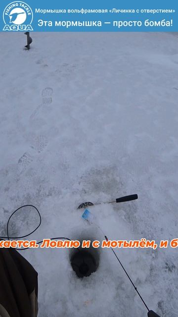 Эта мормышка — просто бомба!
