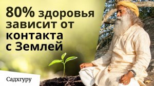 Запусти самовосстановление своего организма