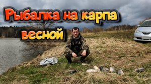 ВЕСЕННЯЯ РЫБАЛКА НА КАРПА! ТАКОГО КЛЕВА Я НЕ ОЖИДАЛ!