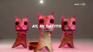 Ay Mi Gatito Miau Miau