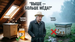 Пчёлы на чердаке: выше = больше мёда? Отвечает профессор Кашковский 🏠⬆️🐝