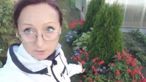 Видео привет с 6 соток 12 сентября 2021 года