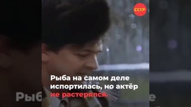 1000044103.mp4 смотреть онлайн