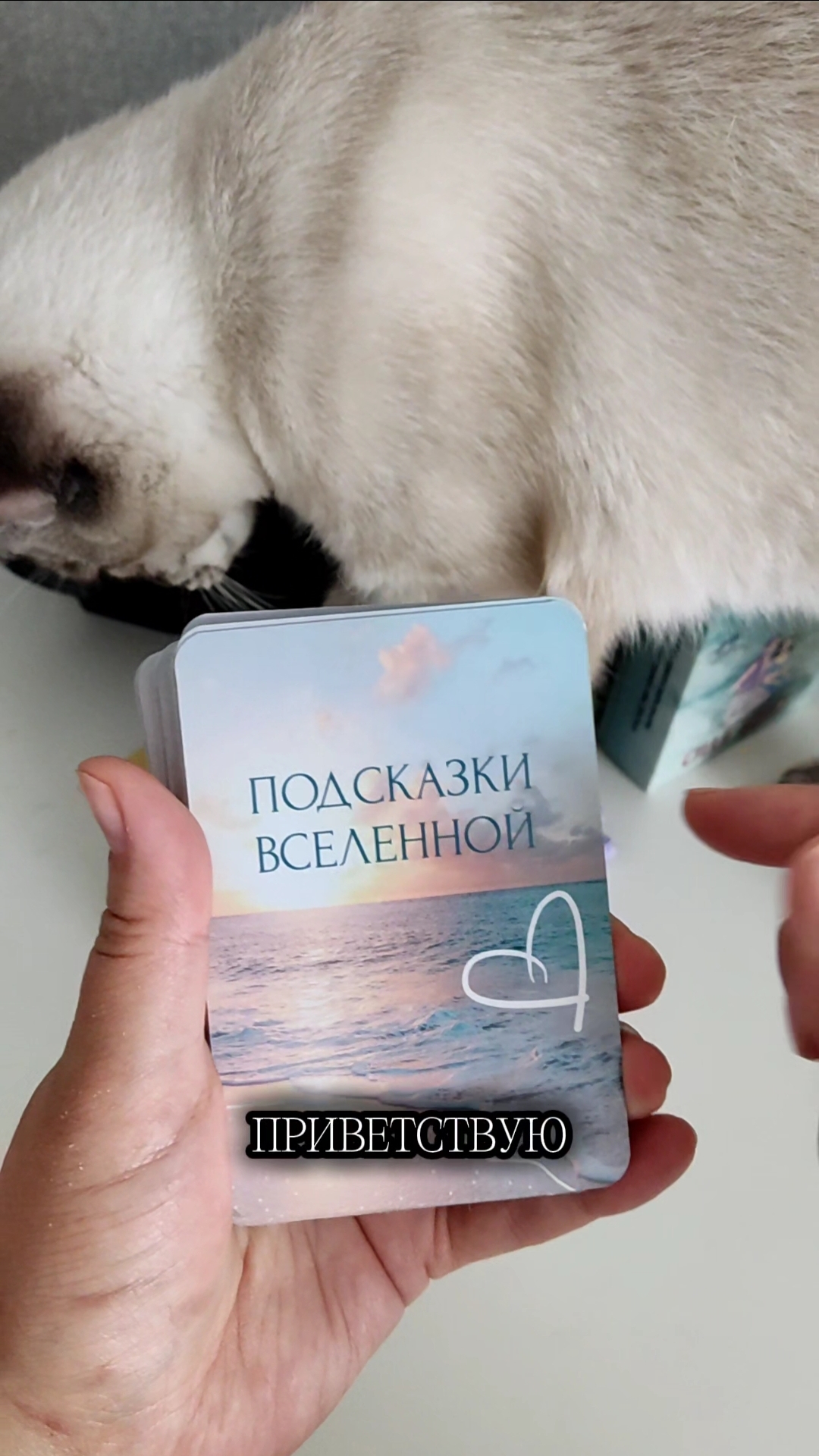 🔮Подсказка от Вселенной на сегодня💛Подпишись, здес ь только о тебе😸 #вселенная #таро #shorts