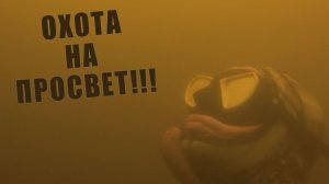 ЗДЕСЬ ИХ БОЛЬШЕ СОТНИ!!! ПОДВОДНАЯ ОХОТА НА ТОЛСТОЛОБИКА!!! СДЕЛАЛ СЕЛФИ ПОД ВОДОЙ!!