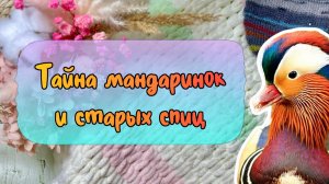 Отчёт марафона  #пряжа _к_чаю. Плед, носки и первые спицы.