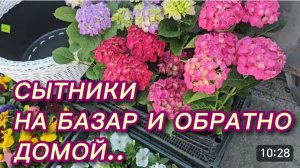САМВЕЛ АДАМЯН, СЫТНИКИ, НА БАЗАР И СРАЗУ ДОМОЙ..