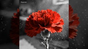 🕯️ 9 мая. День, который невозможно перелистать.