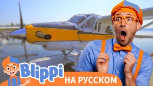 Гидросамолет | Блиппи на Русском | Изучай этот Мир вместе с Блиппи | Blippi