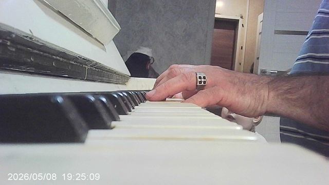 Пианино: Два Весёлых Гуся - исполняют автор канала с племянником