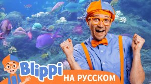 Песня Про Аквариум | Блиппи на Русском | Изучай этот Мир вместе с Блиппи | Blippi