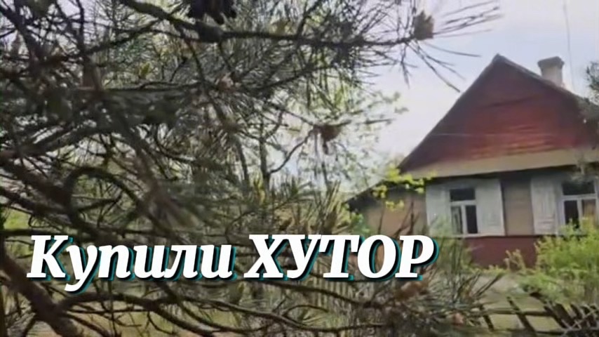 Купили ХУТОР в лесу🌲 и стали МИЛЛИОНЕРАМИ! 💰 Пение птиц и звуки природы 🎶