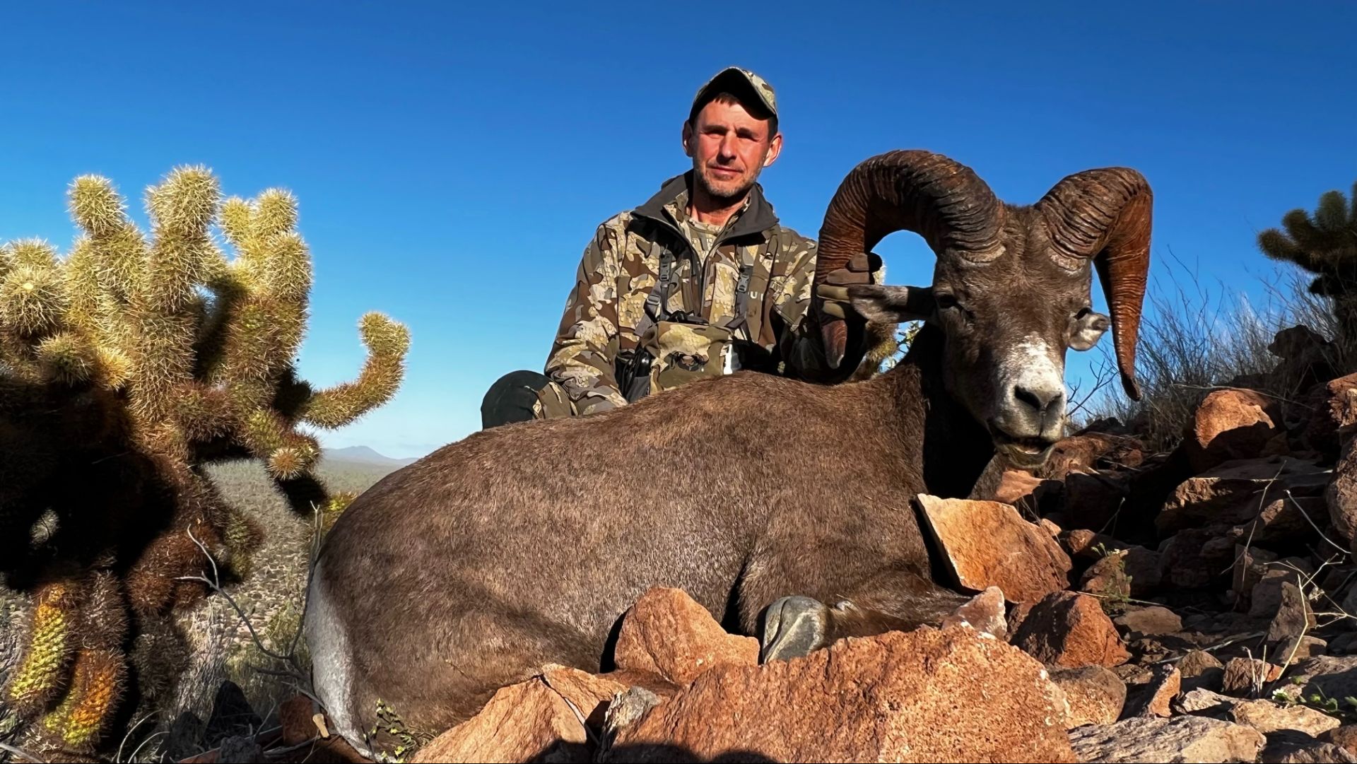 Охота на Пустынных толсторогов в Мексике 2026 - Desert Bighorn Sheep Hunt in Mexico 2026. смотреть онлайн