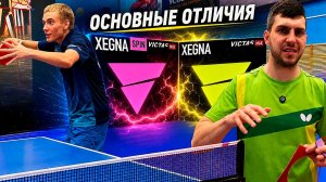 VICTAS XEGNA SPIN И VICTAS XEGNA! ЕСТЬ ЛИ РАЗНИЦА МЕЖДУ НАКЛАДКАМИ ДЛЯ НАСТОЛЬНОГО ТЕННИСА?