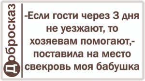 -Если гости через 3 дня не уезжают, то хозяевам помогают,- поставила на место свекровь моя бабушка