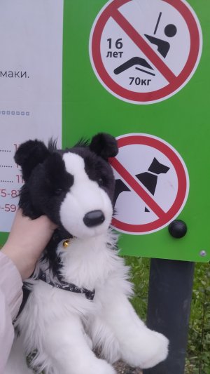 Часпер на горке