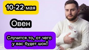 Овен - 10-22 мая. Гороскоп. Случится то, от чего у вас будет шок!