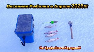 СЕВЕР!!! Весенняя Рыбалка на ТРОФЕЙНОГО ХАРИУСА!!!
