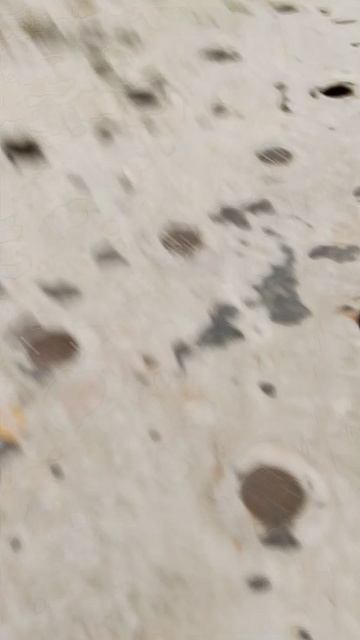 типы людей на детской площадке