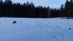Самый долгий проект дома превращается в райское место!
