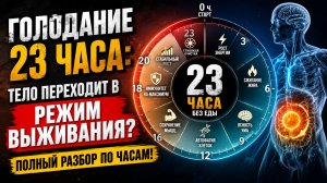 Голодание 23 часа: тело переходит в РЕЖИМ ВЫЖИВАНИЯ? Полный разбор по часам!