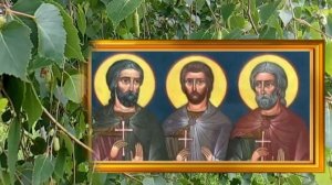 11 мая день Максима. Собранный в этот день березовый сок особенно полезен.