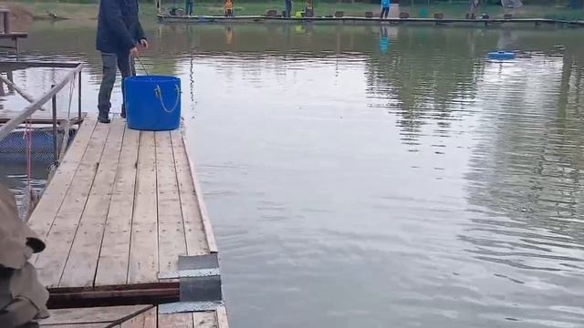 Активные поимки форели.