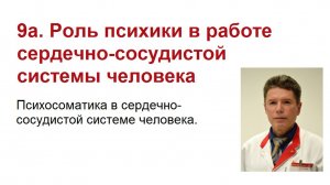 Сердечно-сосудистая система - Психосоматика.