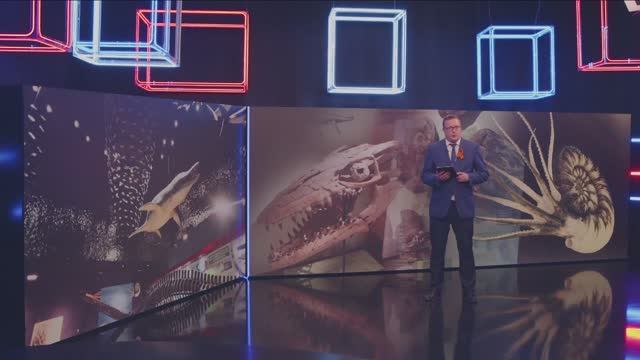 Новости "Волга 24" 08.05.2026 15:00
