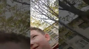 сломал руку и гуляю с леонардомэ