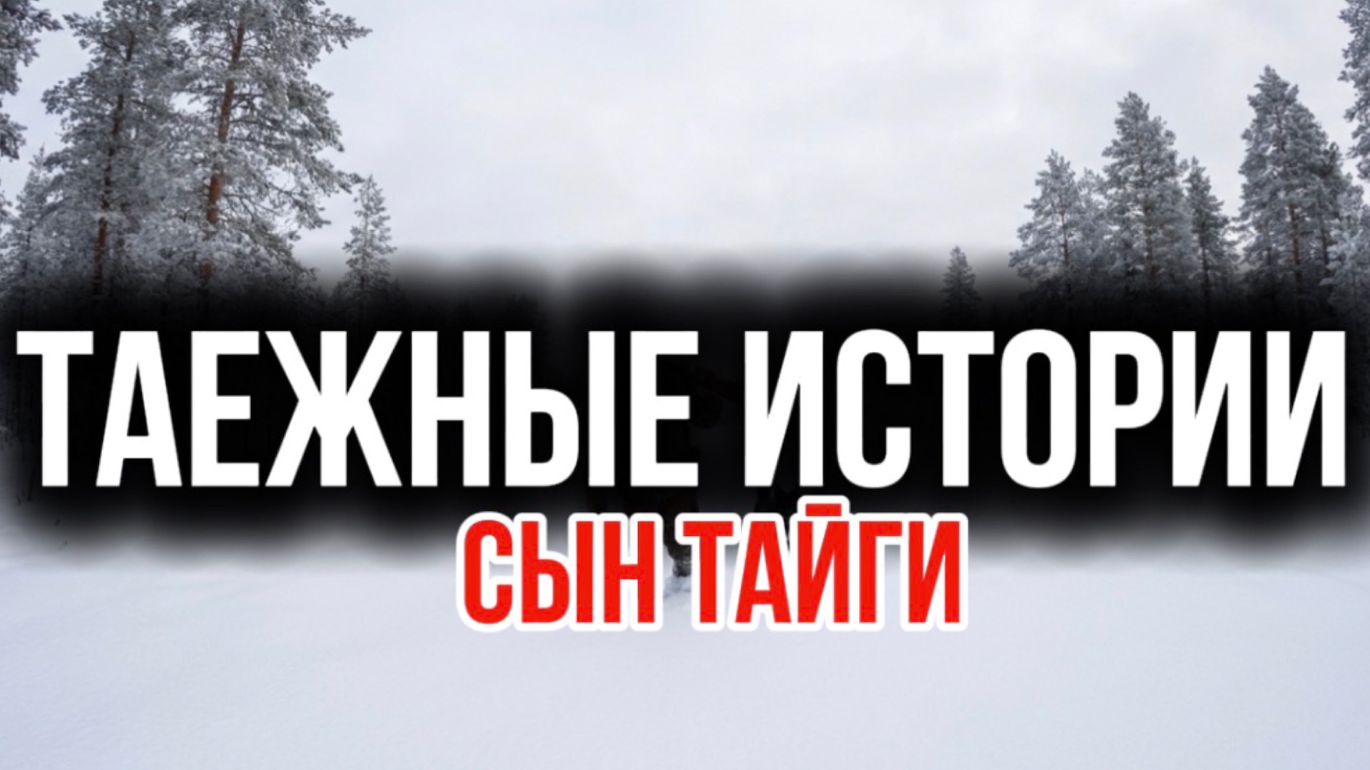Интересные таежные истории смотреть онлайн