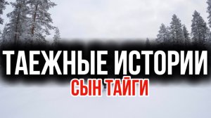 Интересные таежные истории
