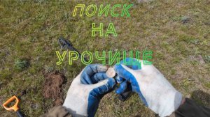 Ищу монеты на бывшем поселении.