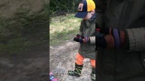 Мы видели сереноголового